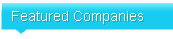 Feature Mining Company