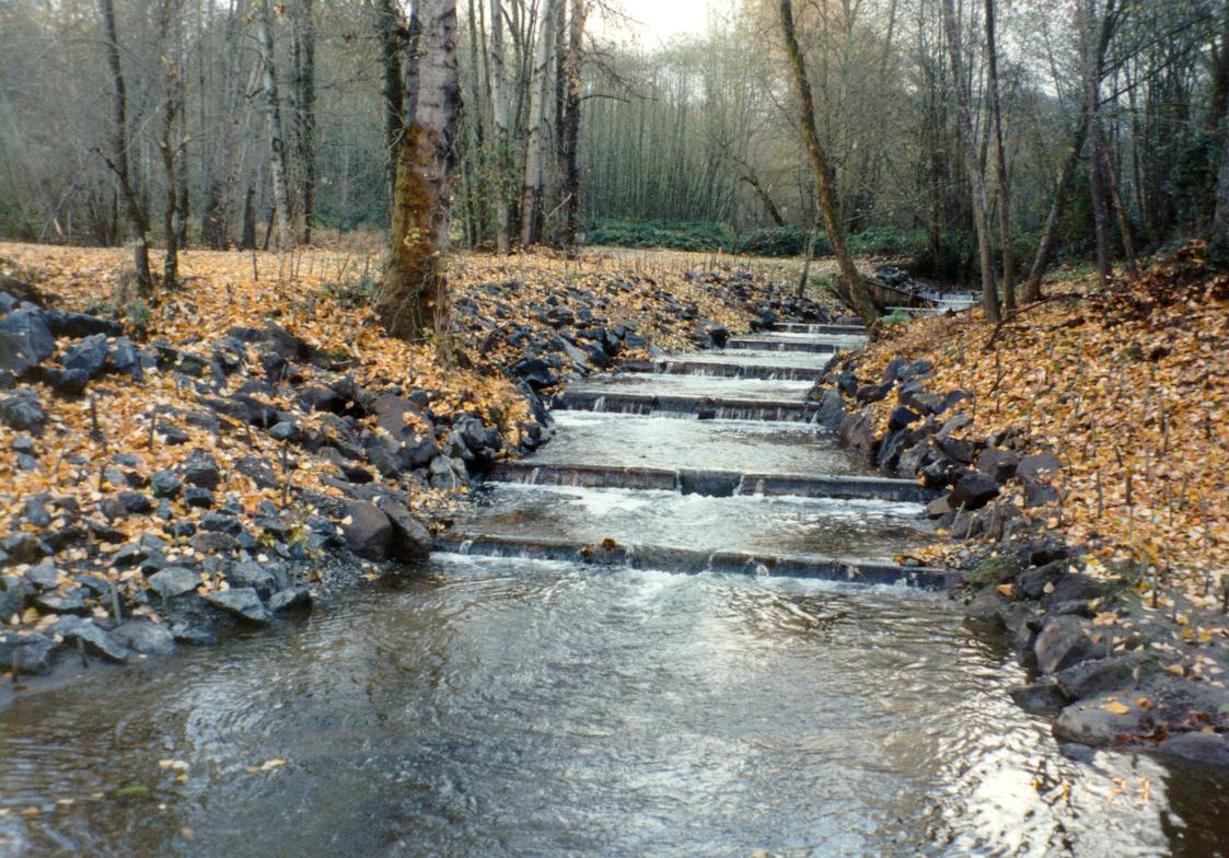 Coal Creek 