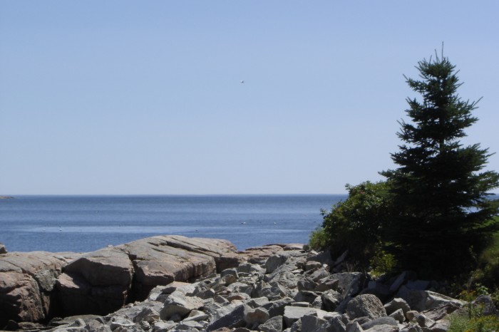 Maine  mine