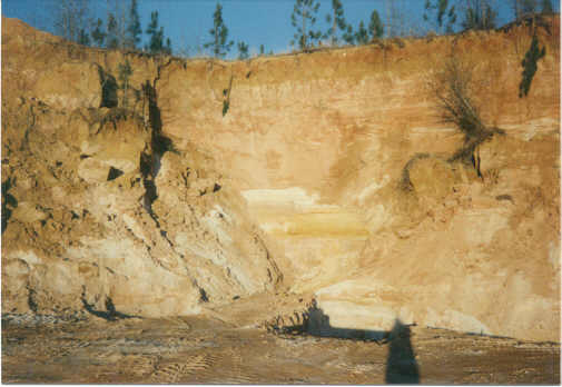 South Carolina  mine