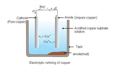 rhenium electrolytic refining of copper