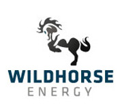 Wild Horse Mining Company